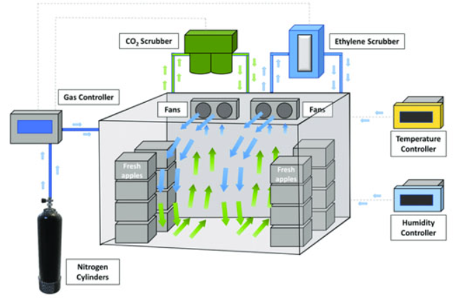 Cold Room Classification